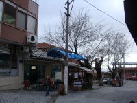 DSC00169 - Copy