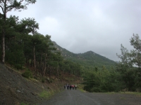 DSC00192 - Copy