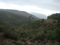 DSC00206 - Copy