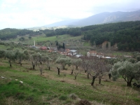 DSC00222 - Copy
