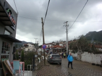 DSC00230 - Copy