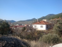DSC08172