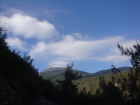 DSC08177