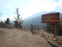 DSC08198