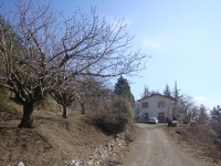 DSC08199