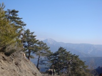 DSC08205