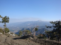 DSC08207