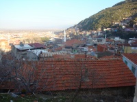 DSC08215