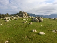 y53