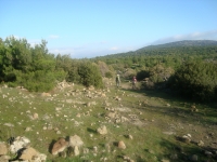 DSC05088