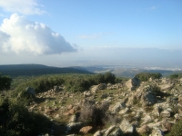 DSC05094