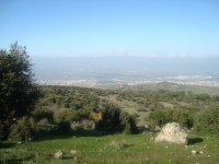 DSC05100