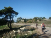 DSC05108