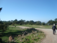 DSC05110