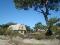 DSC05111