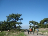 DSC05112