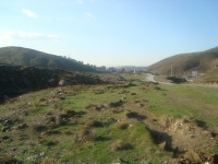 DSC05121