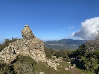 IMG_9871