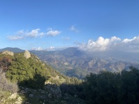 IMG_9879