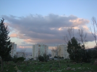 DSC09519