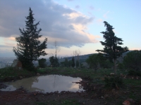 DSC09529