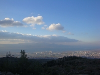 DSC09546