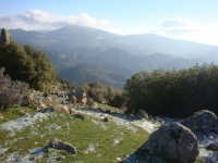 DSC09557