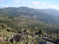 DSC09582