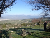 DSC09590