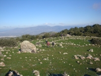 DSC09592