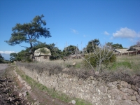 DSC09602
