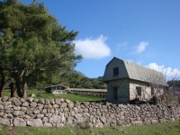 DSC09604