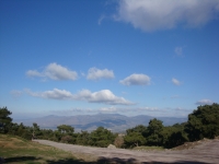 DSC09607