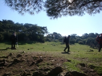 DSC09608