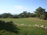 DSC09609