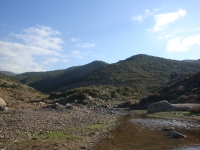 DSC09615
