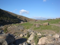 DSC09616