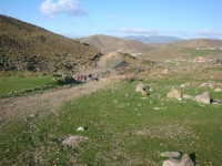 DSC09617