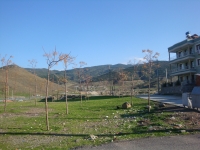DSC09619