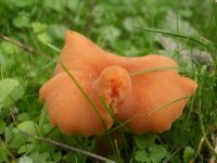 Yamanlar
