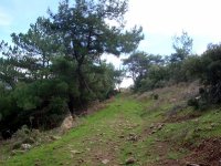 Yamanlar