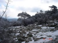 Yamanlar