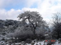 Yamanlar