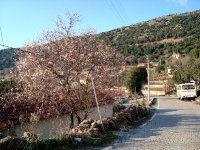 Bornova Çamiçi Köyü