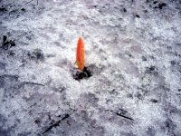 Yamanlar