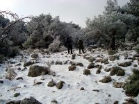 Yamanlar
