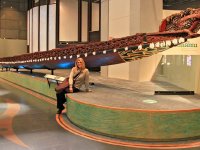 Maori canoe from Te Papa museum