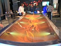 a real giant squid from Te papa museum