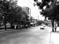 5.DURAK