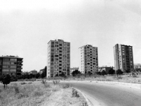 YILDIZ BLOKLAR